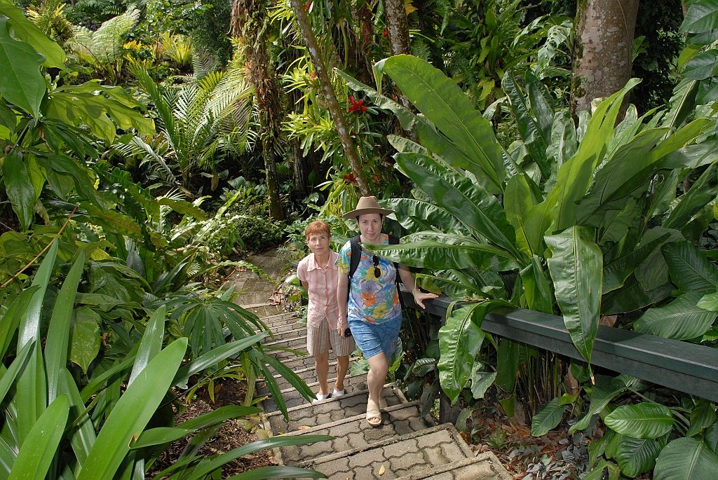 0198 Cairns Botanic Gardens.jpg
